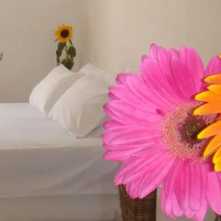 Apartment Elmarel Kamari (Santorini)